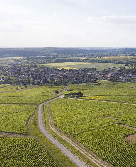 Luchtfoto wijngaarden Deheurles